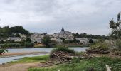 Tour Wandern Savigny-en-Véron - Savigny-en-Véron - la Vienne la Loire - 20.8km 135m 5h45 (50mn) - 2025 07 02 - Photo 10