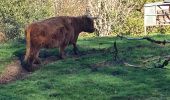 Tour Wandern Veix - Tour du Puy d'Orliac - Photo 3