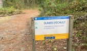 Tour Wandern Condette - Dunes d’Ecault depuis le château d’Hardelot - Photo 10