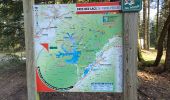 Trail Walking Badonviller - Marche autour du lac de Pierre Percée 1 - Photo 11