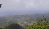 Excursión Senderismo Le Morne-Vert - Montjoly - Les pitons du Carbet - Photo 6