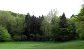 Tocht Te voet Auetal - WE 2 Das liebliche Walterbachtal - Photo 3