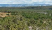 Tour Wandern Artignosc-sur-Verdon - Artignosc Chemin de l eau  - Photo 4