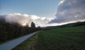 Trail Mountain bike Virton - Champfaye et la Bourguinette  -  Balade_VTT_26kms - Photo 10