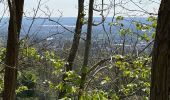 Trail Walking Cormeilles-en-Parisis - Aller-Retour - Le balcon de l'Ile de France - Cormeilles en Parisis - Photo 5