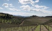 Percorso A piedi Gaiole in Chianti - Trekking tra i castelli 5 - Photo 2