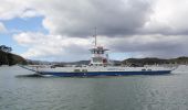 Excursión A pie Bay of Islands-Whangaroa Community - Te Araroa - alternative route - Photo 2