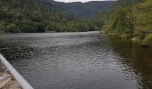 Randonnée Marche Sewen - Sewen - Lac d'Alfeld - Ferme auberge du Baerenbach - Photo 6