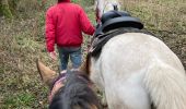Trail Horseback riding Saint-Martin - Reprise Kaline Tivio  - Photo 10
