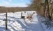 Trail Walking Rixensart - Rosières 2 - Photo 4
