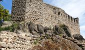 Excursión Senderismo Dambach-la-Ville - Sommets et rochers - Photo 20