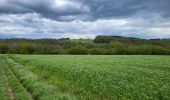 Trail Walking Dinant - Foy Notre Dame 250424 - Photo 17