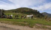 Tour Wandern Larnat - Cap de la Lesse - Photo 3