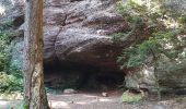 Tour Wandern Ottrott - Mont St Odile - Mur Païen - Grotte des Druides - Sentier des Merveilles - Photo 19