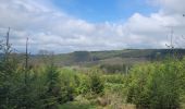 Tour Wandern Libin - rando redu  11-05-2023 - Photo 9