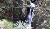 Tocht Stappen Lepuix - Ballon d'Alsace par la cascade du Rummel - Photo 7