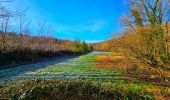 Tour Wandern Ham-sur-Heure-Nalinnes - Balade du Pré al Roch à Jamioulx - Photo 7