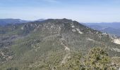 Trail Walking Brignoles - l'Amarron - Photo 16