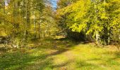 Trail Walking Compiègne - en forêt de Compiègne_43_le Petit Octogone et vers la Faisanderie - Photo 9