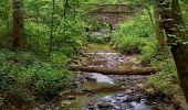 Randonnée Marche Paliseul - Fays les veneurs 20.6 km - Photo 2