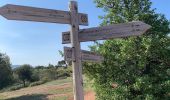 Tour Wandern Aix-en-Provence - Prés d'Aix, les barrages de Bimont et Zola - Photo 12