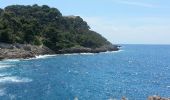 Randonnée Marche Roquebrune-Cap-Martin - Roquebrune-Cap-Martin - du Cap Martin à Cabbé AR - 6.7km 160m 2h00 - 2016 06 11 - Photo 1