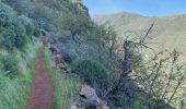 Randonnée Marche Ingenio - Barranco de Guayadeque (Gran Canaria) - Photo 8