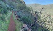 Excursión Senderismo Ingenio - Barranco de Guayadeque (Gran Canaria) - Photo 8