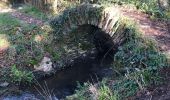 Excursión Senderismo Les Garennes-sur-Loire - L’homois pres de Saint jean des Mauvrets - Photo 1