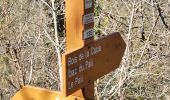 Trail Walking Sigale - '' ''.  - Photo 1
