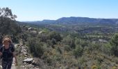 Randonnée Marche Aínsa-Sobrarbe - el grado Guaso Sierra puis voiture jusqu'à Sarratillo - Photo 9