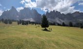 Percorso Marcia Funes - Gschnagenhardt Glatschalm - Photo 18