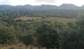 Trail Walking Saint-Pantaléon-les-Vignes - saint panthaleon les vignes  - Photo 17