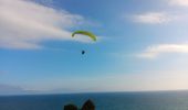 Trail Walking Leucate - plateau de leucat sud-est sans grand route  - Photo 15