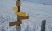 Randonnée Raquettes à neige Hauteluce - Col des Saisies - Croix de la Coste - Signal de Bisanne - Photo 1