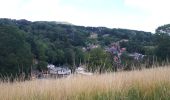 Tocht Noords wandelen Luik - coteaux_citadelle - Photo 16