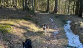 Tour Wandern Xonrupt-Longemer - Riche de Belle-vue - Photo 7