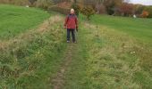 Tocht Noords wandelen Chaumont-Gistoux - dion bonne Longueville  - Photo 1