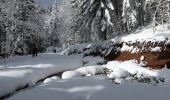 Randonnée Raquettes à neige Ventron - 20210124 - Col-Oderen - Chalet Forgoutte - Photo 3