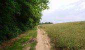 Trail Walking Rochecorbon - Rochecorbon - la Rabatterie Parçay-Meslay - 20.5km 350m 4h45 - 2022 06 12 - Photo 2