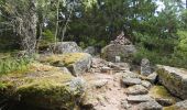 Tour Wandern Altweier - Roche du Tétras - Bilstein - Photo 8