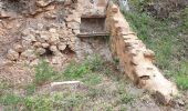 Excursión Senderismo Vernet-les-Bains - Sahorre dolmen - Photo 12