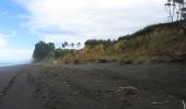 Tour Zu Fuß Unknown - Kaikoura Coast Track - Photo 5