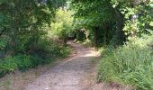 Trail Walking Sangatte - sangatte - cap blanc nez via les terres, retour par les falaise - Photo 19