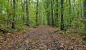 Trail Walking Vendôme - Petit parcours dans la partie Sud-est du Bois de l'Oratoire - Photo 2