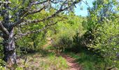 Tour Wandern Monieux - gorge de la Nesque via GR9 - Photo 8