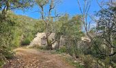 Tour Wandern Méounes-lès-Montrieux - Gouffre de Signoret - Méounes - Photo 15