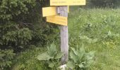 Trail Walking Saint-Pierre-de-Chartreuse - 38-chartreuse-Haberts-Arpison-16km900m - Photo 8