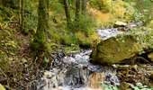 Trail Walking Baelen - 20231030 - Drossart 7.8 Km - Photo 7