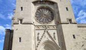 Trail Walking Béziers - Écluse de Fonseranes,Cathédrale St Nazaire  - Photo 2